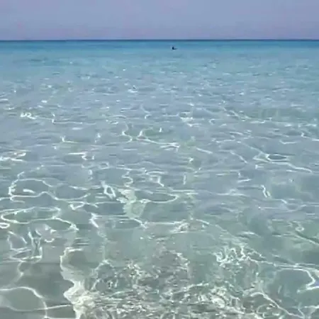 Hébergement de vacances Lido San Giovanni Vicino *